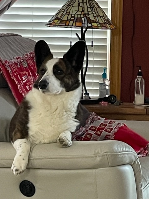 Harper